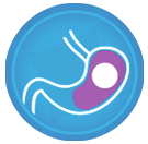 http://www.antiobesitycenter.com/wp-content/uploads/2018/07/balon-intragas.png