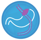 http://www.antiobesitycenter.com/wp-content/uploads/2018/07/bypass-gastrico.png